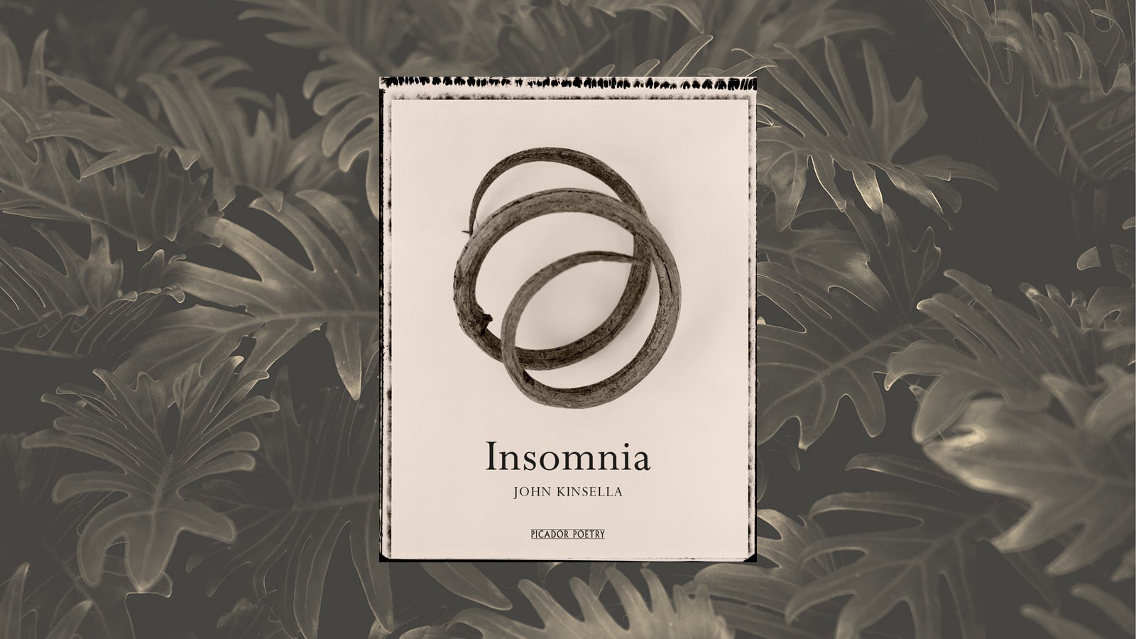 The cover for John Kinsella's poetry collection Insomnia set against a sepia-tinged background of leaves